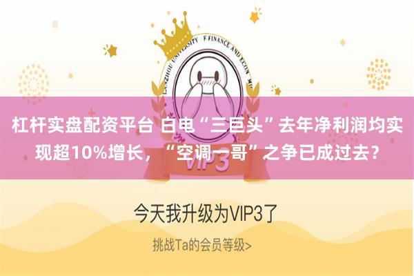 杠杆实盘配资平台 白电“三巨头”去年净利润均实现超10%增长，“空调一哥”之争已成过去？