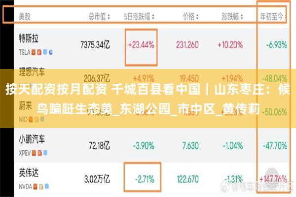 按天配资按月配资 千城百县看中国｜山东枣庄：候鸟蹁跹生态美_东湖公园_市中区_黄传莉