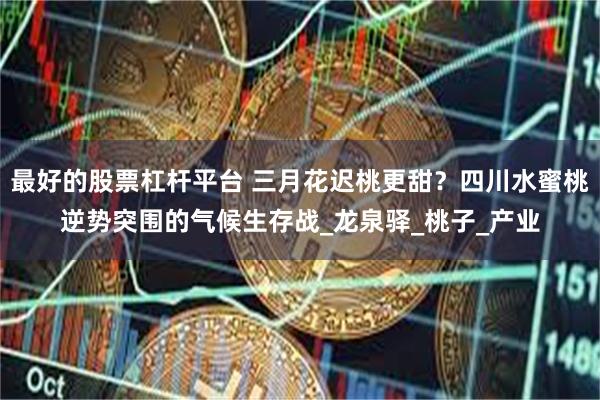 最好的股票杠杆平台 三月花迟桃更甜？四川水蜜桃逆势突围的气候生存战_龙泉驿_桃子_产业