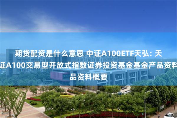 期货配资是什么意思 中证A100ETF天弘: 天弘中证A100交易型开放式指数证券投资基金基金产品资料概要