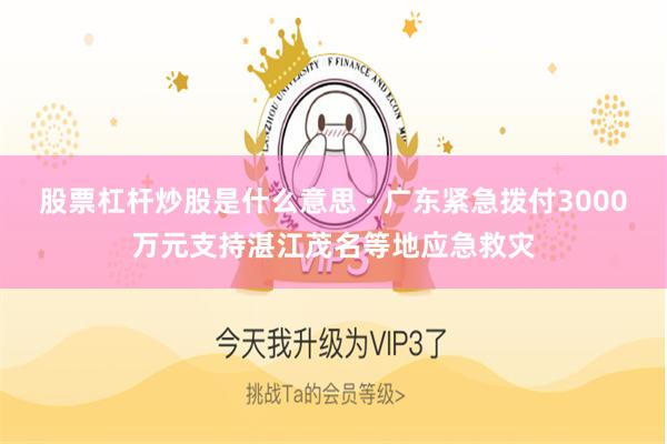 股票杠杆炒股是什么意思 · 广东紧急拨付3000万元支持湛江茂名等地应急救灾
