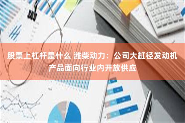 股票上杠杆是什么 潍柴动力：公司大缸径发动机产品面向行业内开放供应